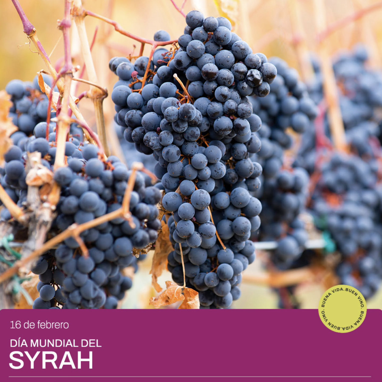 Screenshot 2025-02-26 at 4.54.01 p.m..png